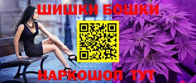 крисы Новокубанск