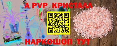 крисы Новокубанск